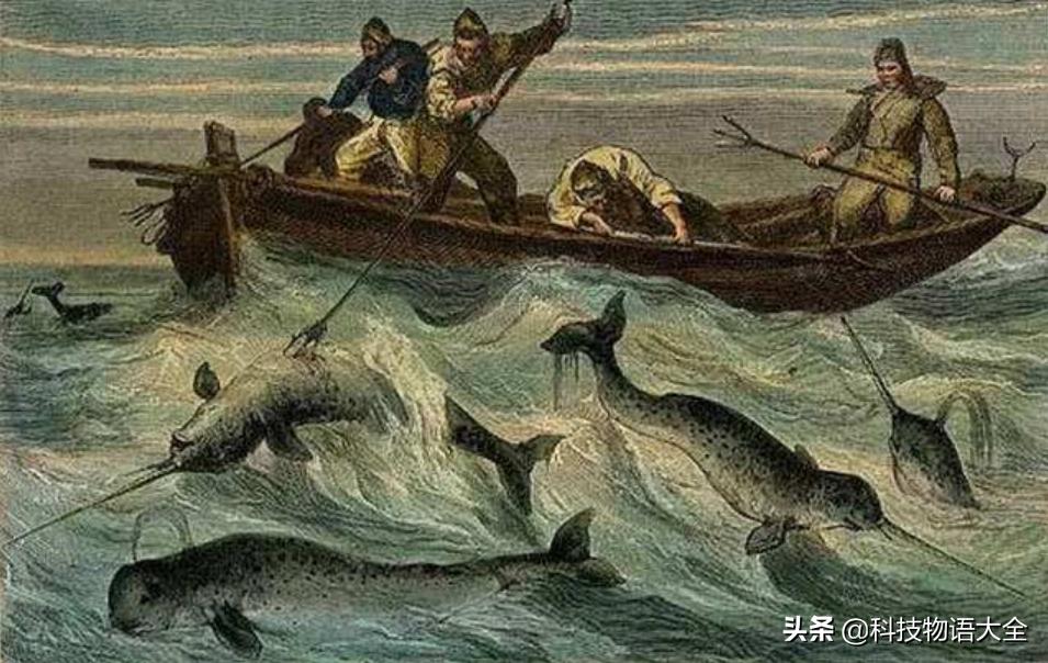 你知道成品油价格调整了吗,原油跌为什么油价涨