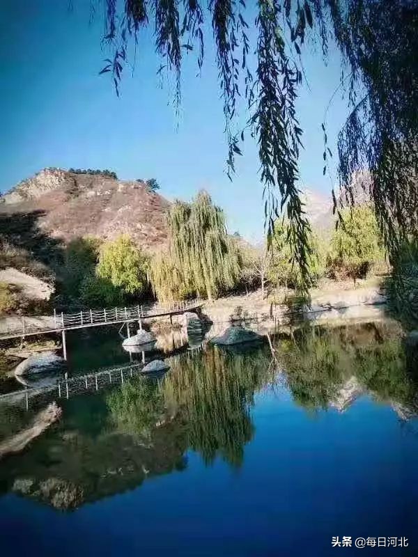 漫山花溪谷好玩吗值得去吗,夏天总要去一趟漫山花溪谷