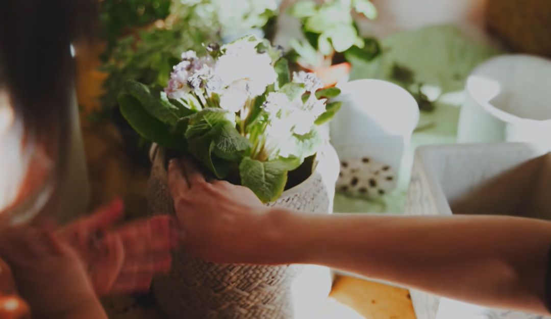 李子柒靠海外视频月入80万,德国版李子柒