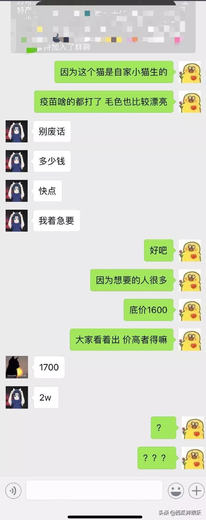 我常因为不够沙雕而跟你格格不入,我常常因为不够沙雕而格格不入图