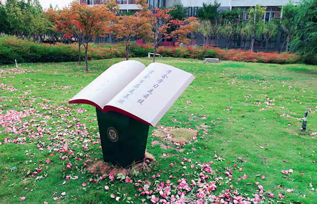 河南这所财经大学的往年录取分析，请速看