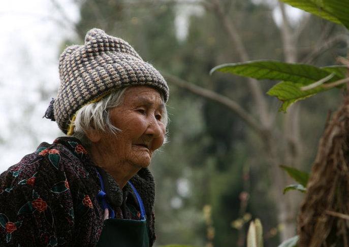 为什么说男不拜月女不祭祖,老祖宗不训子的规矩