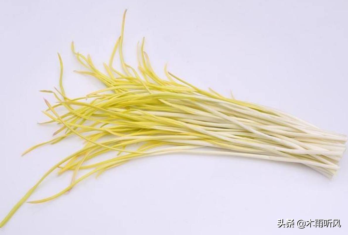 洋葱露地冬季可以栽培吗,洋葱春季几月栽苗