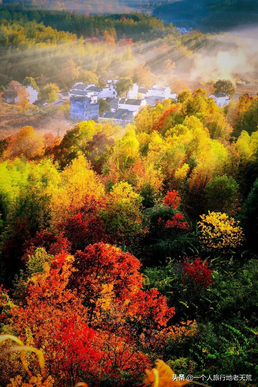 这才是12月最值得去的旅行地,11月12月去哪里旅游最美