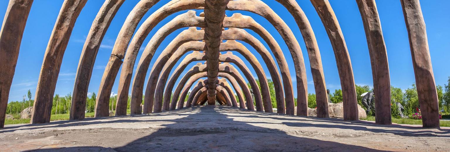 有龙的地方简介,有龙的地方景区