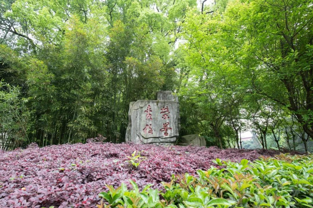 「南山苍翠二外荣光」——八千里路云和月：一座学校的史诗