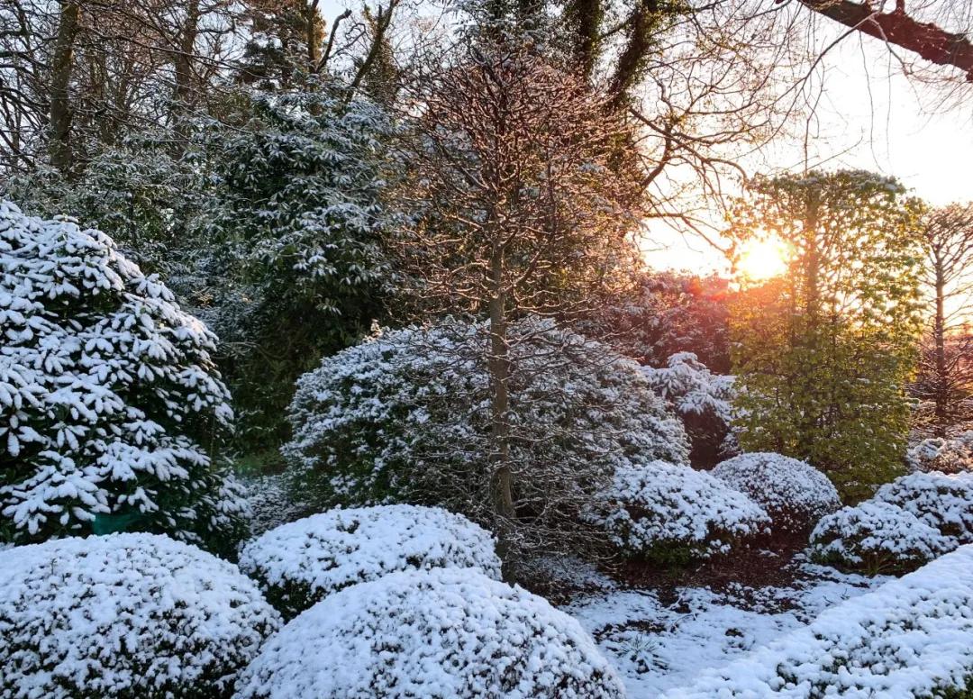 昨天比基尼!今天下雪!英国的天气能有多奇葩?