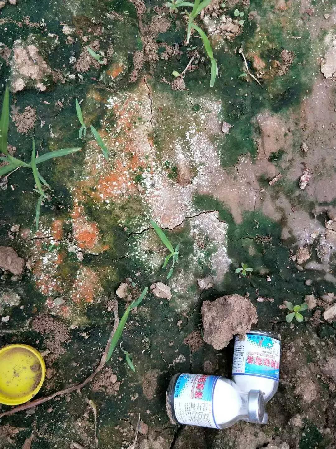 地没劲,根系弱,病害多......这些方法最管用