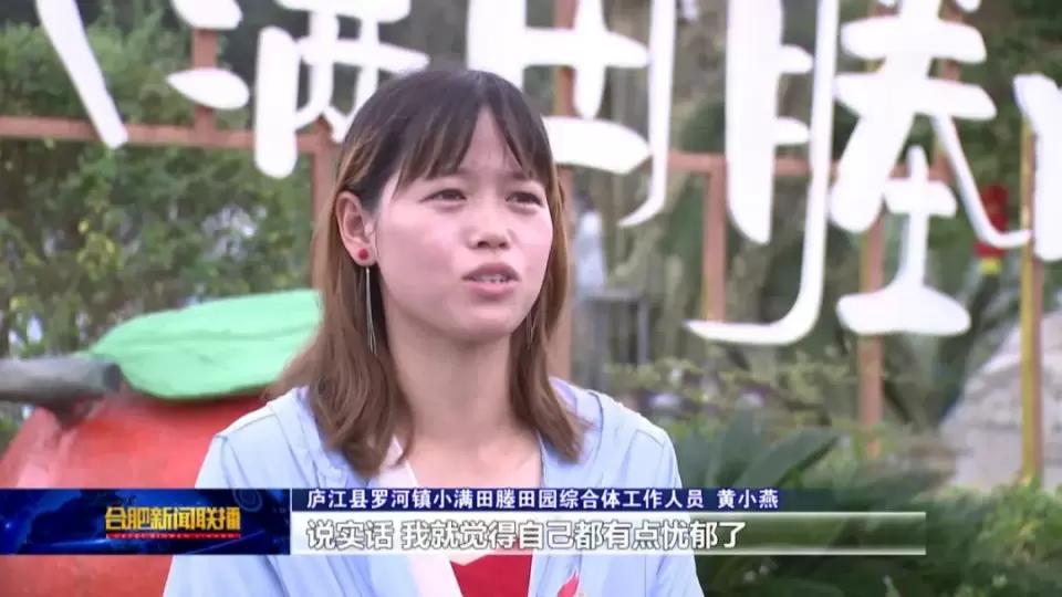 聚焦2024两会乡村振兴,聚焦合肥第十二次党代会