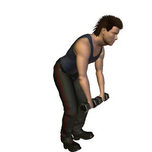 哑铃和器械健身哪个增肌快一些,哑铃和杠铃高效练二头