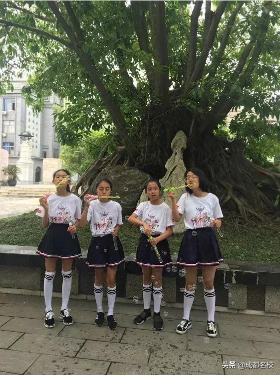 一所好学校，藏不住！成都石室外语学校的家长，深情为学校代言！