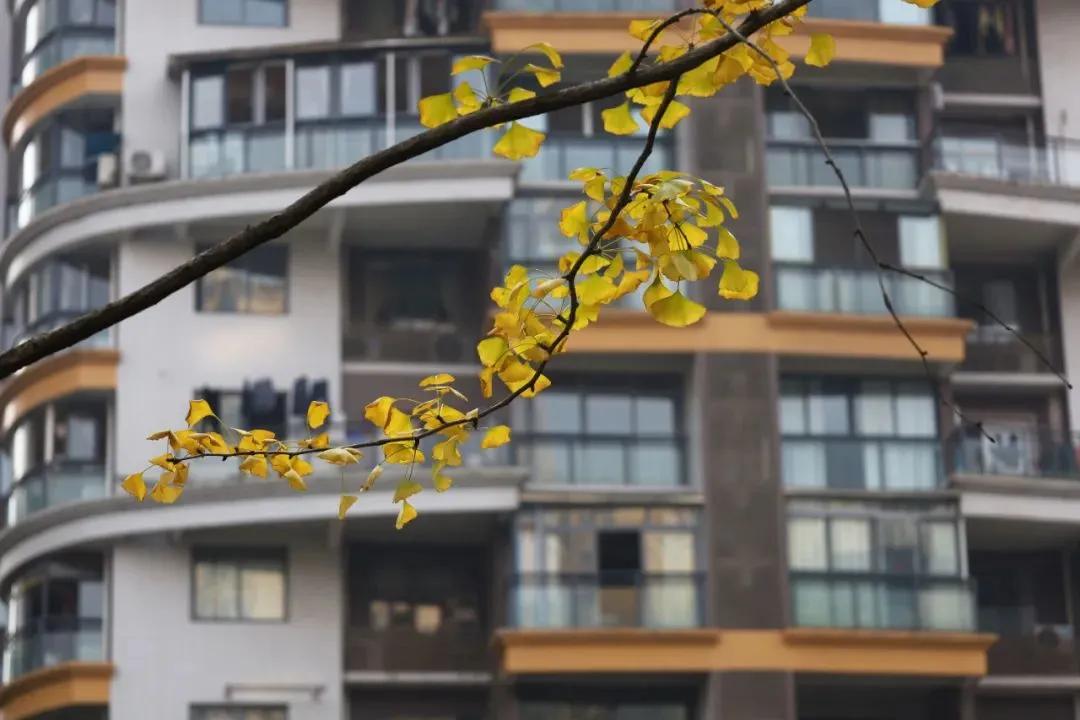 相机这两个功能很好用,很多人却不知道