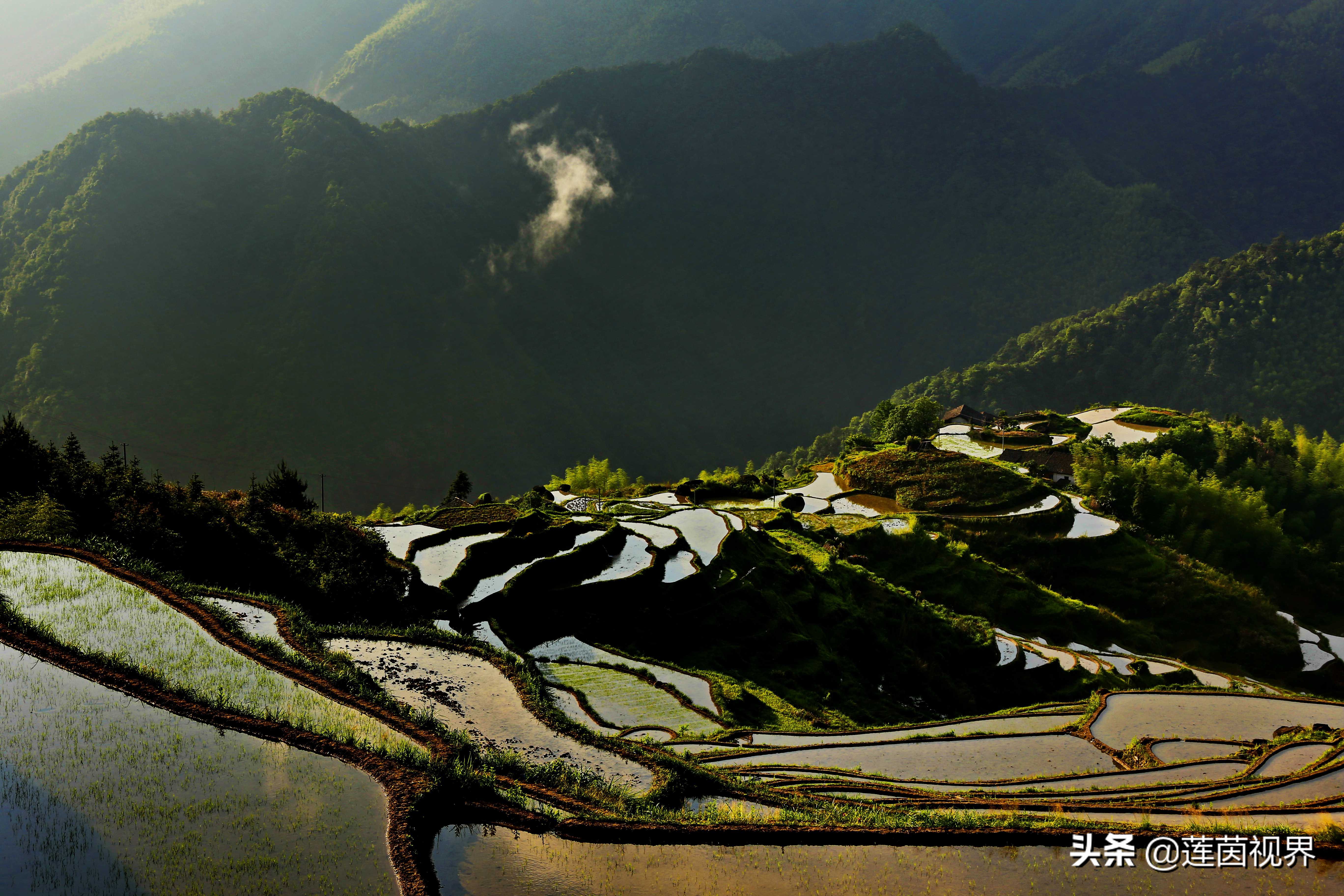 铜钹山夏天旅游哪里好玩,探险铜钹山原始森林