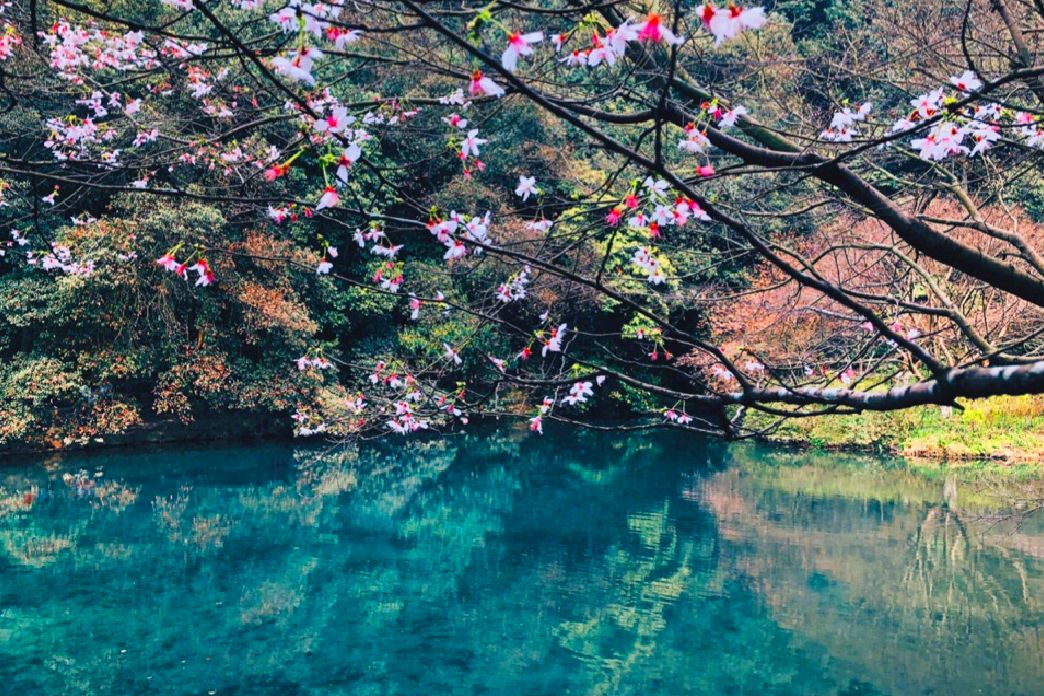 亲测旅游攻略,旅游团游西湖攻略线路地图