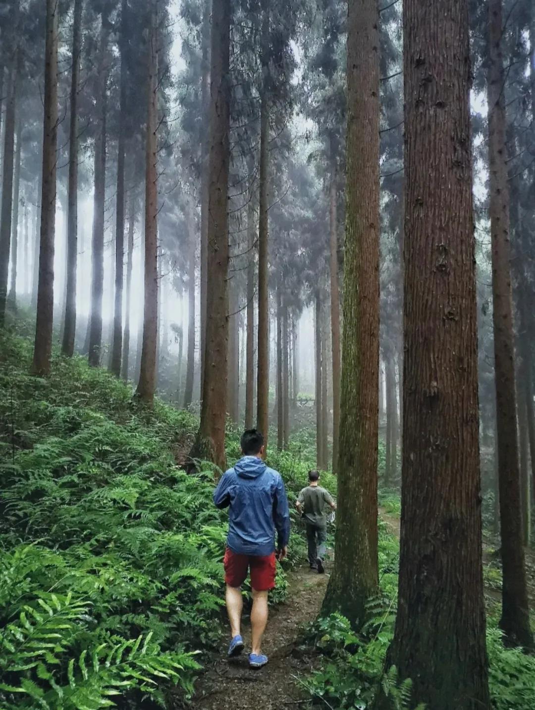 成都周边凉快又可以耍水的地方,成都周边哪有耍水的地方