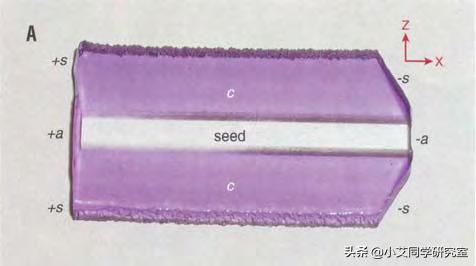 揭秘珠宝鉴定师的秘密,珠宝鉴定小常识
