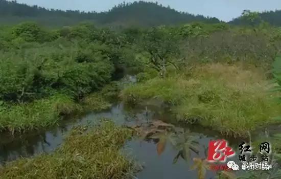 邵阳楹联的基本情况,湖南邵阳楹联碑刻
