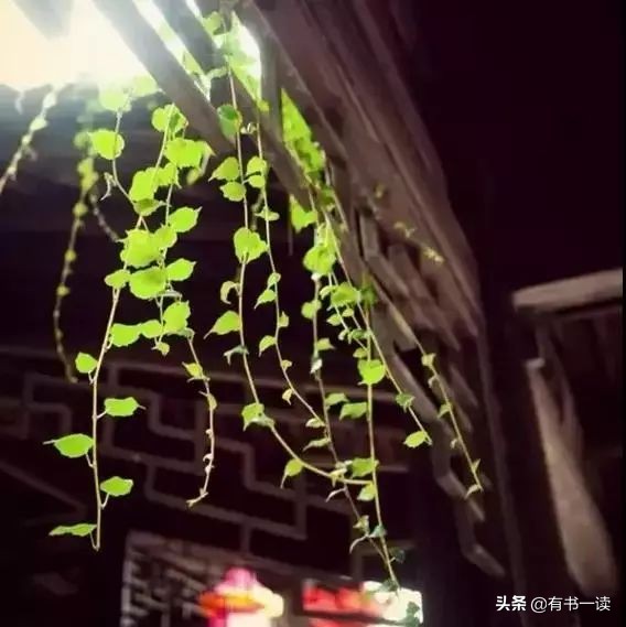 读懂南怀瑾先生经典的22句话,南怀瑾三句话说透了人生最高境界