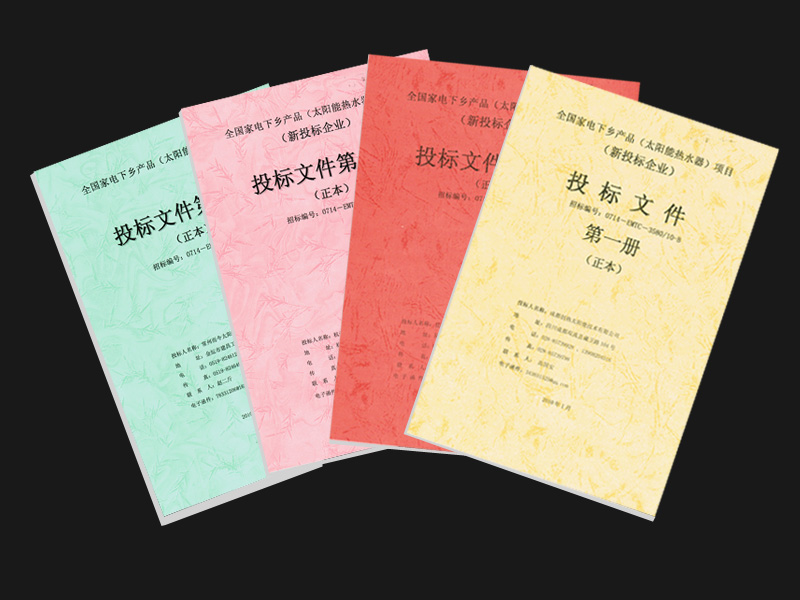 项目投标流程及重要环节,标书投标方法与技巧