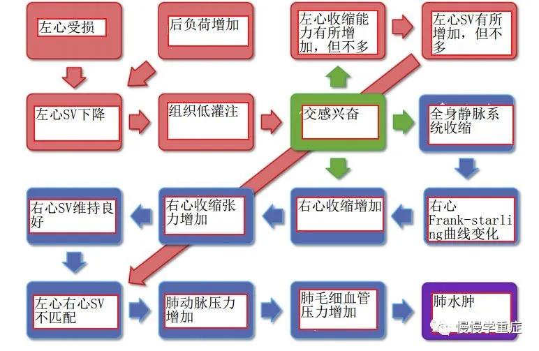全面解读肺水肿（超全超赞）