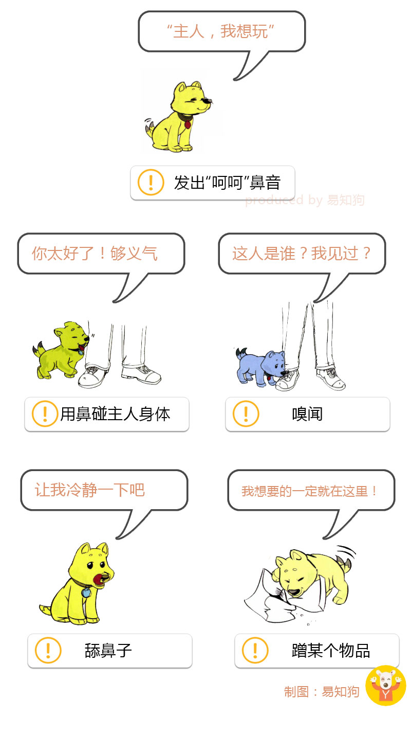 狗狗尾巴动作代表的含义,狗狗的尾巴动作代表的含义