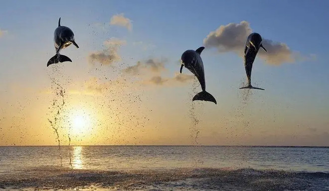 期货交易简单的方法更容易赚钱,一套简单实用的期货交易系统