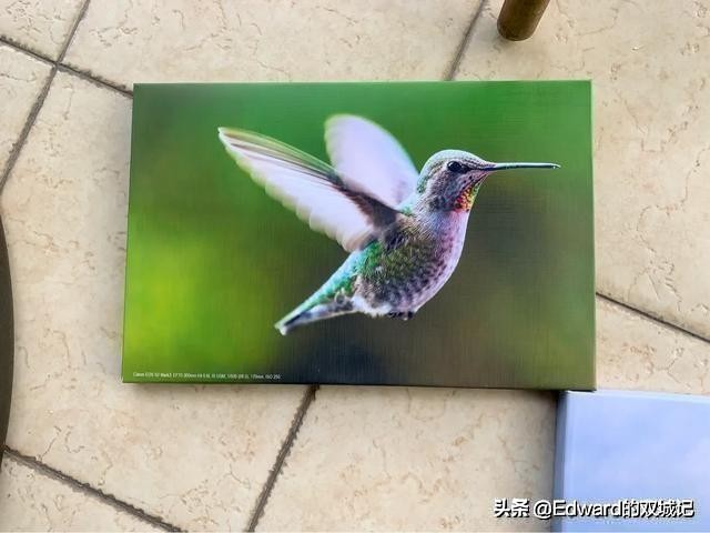 自由摄影师摆摊需要些什么,摄影摆摊怎么入行