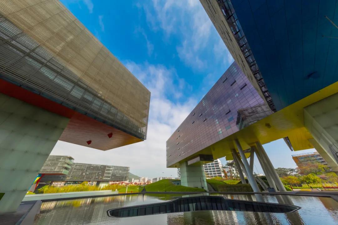 梅沙高中来了!冲击“双一流”,“爱国”为基石