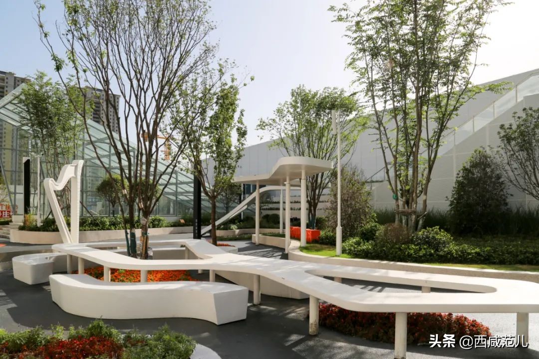 喜讯|新增学位14760个！沣西、能金区共10所新建学校，全部投运