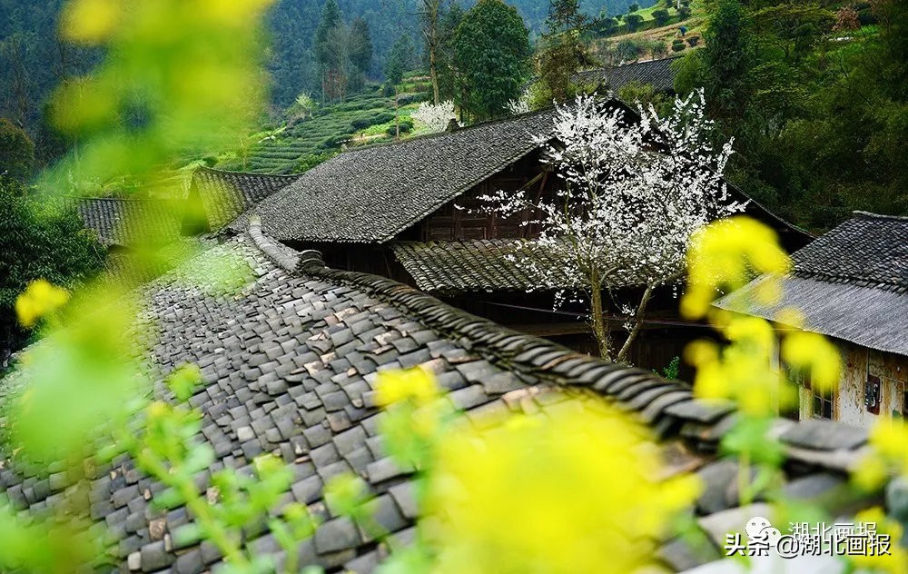 庆阳旅游古城,恩施庆阳坝古街