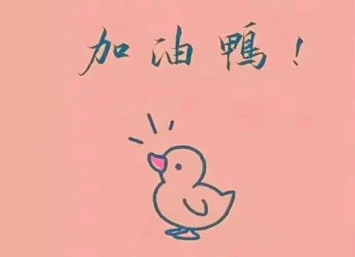 鸭时代的鸭子怎么做的,简单的做鸭方法