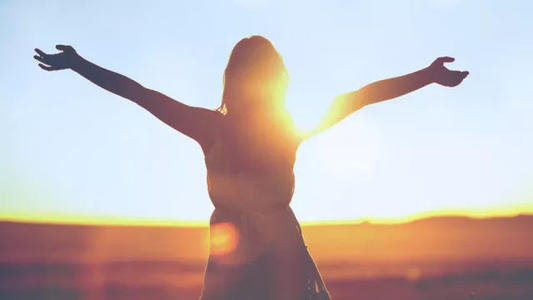 新版稳稳的幸福基金组合正式出炉,稳稳的幸福基金组合的跌幅