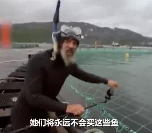 曾标榜健康的进口海鲜，幕后养殖曝光，堪比垃圾食品（菲李漫画）