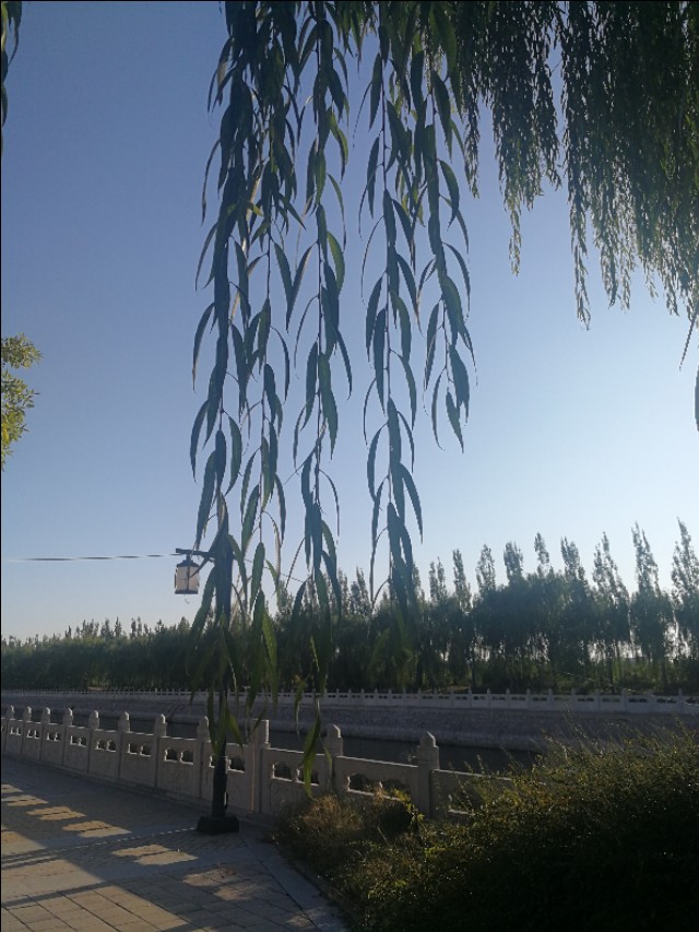 散文姥姥去世,散文姥姥原创