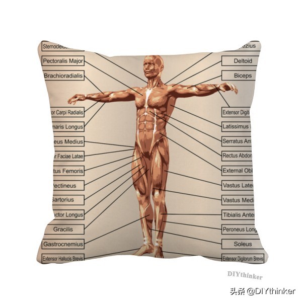 既舒适又可爱的抱枕,复古的抱枕太好看了