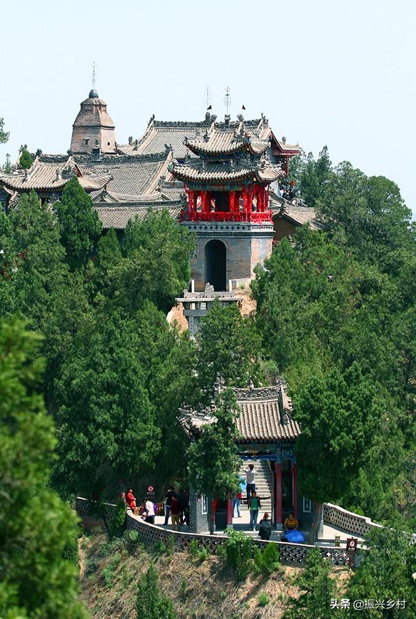 冬天来合阳,赏万顷芦荡,候鸟齐飞(组图)