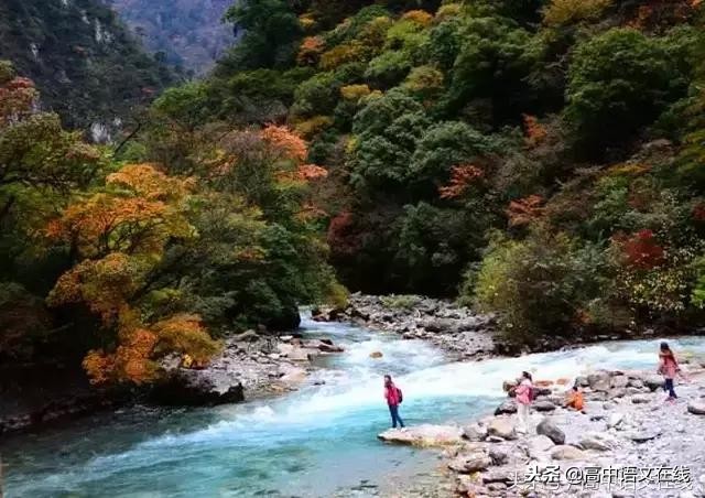 议论文写作万能套用模板,议论文写作思路答题模板
