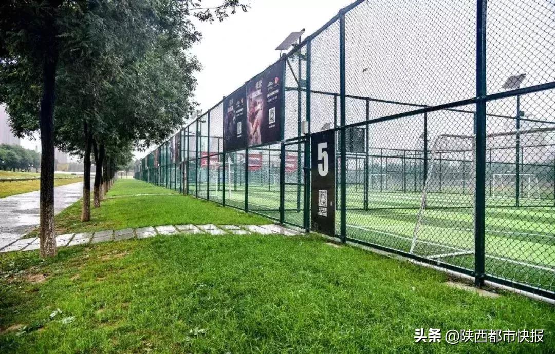 西安体育中心场馆,西安免费开放的体育馆