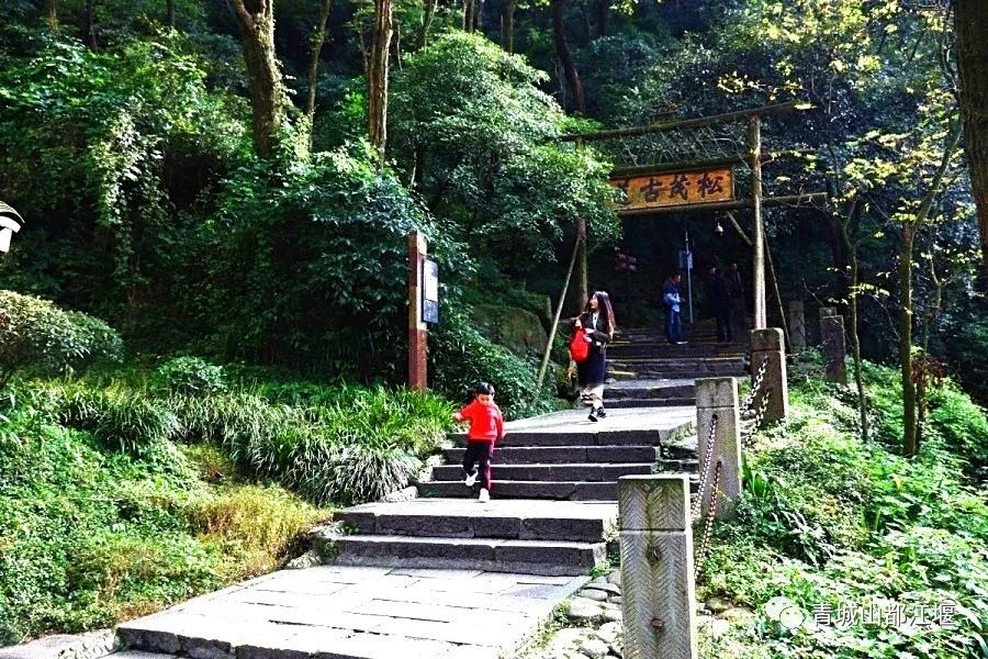 坐上公交去旅行!跟着这条101路线,带你玩遍大半个都江堰~一站一景,吃喝玩乐一网打尽!