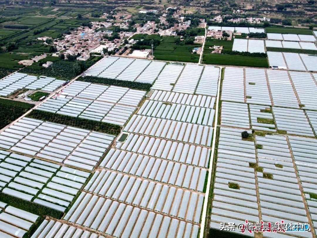 2022年先进党支部先进事迹材料,2024年优秀党支部先进事迹