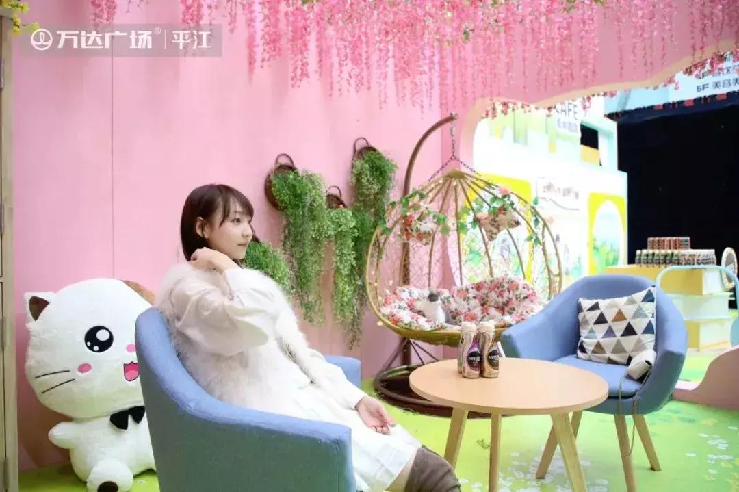 炸裂!因为一只猫,苏州人开启尖叫模式!