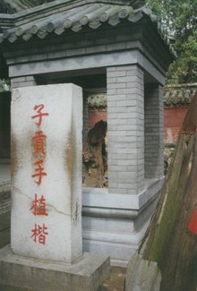 此地3000亩,只葬了一个家族,拥有10万多座坟冢,94年申遗成功