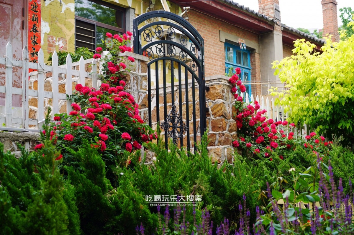 遇上浓浓的大连海蛎子味,青岛海蛎子旅游攻略