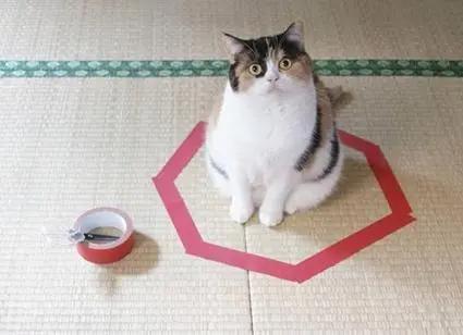 打蛇为什么要七寸，把头打烂没毒牙，还不够安全吗？