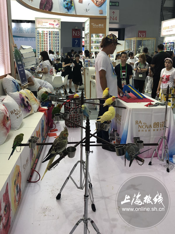 亚洲宠物展2022直播,亚洲宠物展会直播