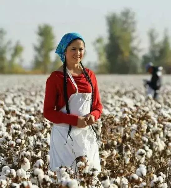 南疆小县城的百年饮料，制作技术堪比茅台，被誉为中国白兰地