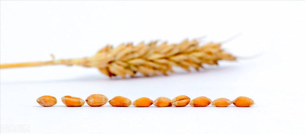 鍏ㄩ害闈㈠寘鍑忚偉缈昏溅,鍋氬叏楹﹂潰鍖呯炕杞︾殑鍘熷洜