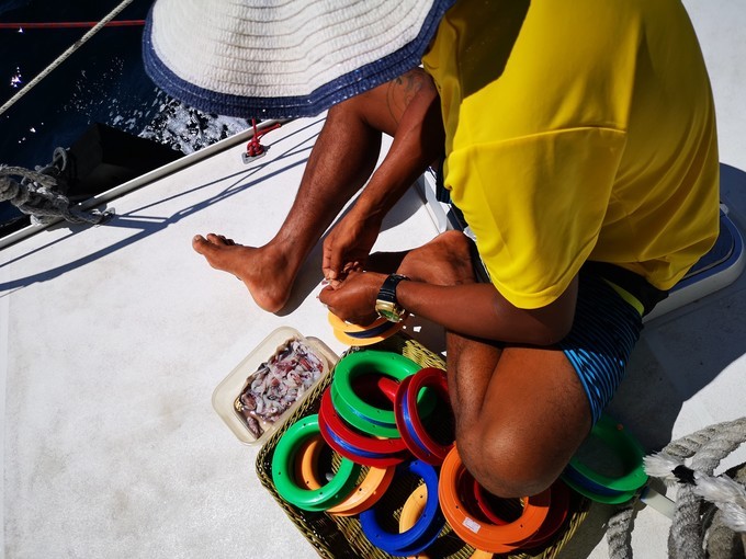 蛋岛蜜月岛,蜜月岛皮皮岛蛋岛一日游