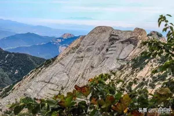 导游证山东免费的景区可以去吗,山东导游证可以免费进景区吗