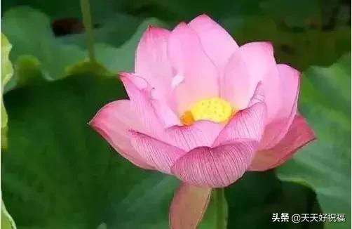 绝！绝！绝！这条微信谁编的？太有才了